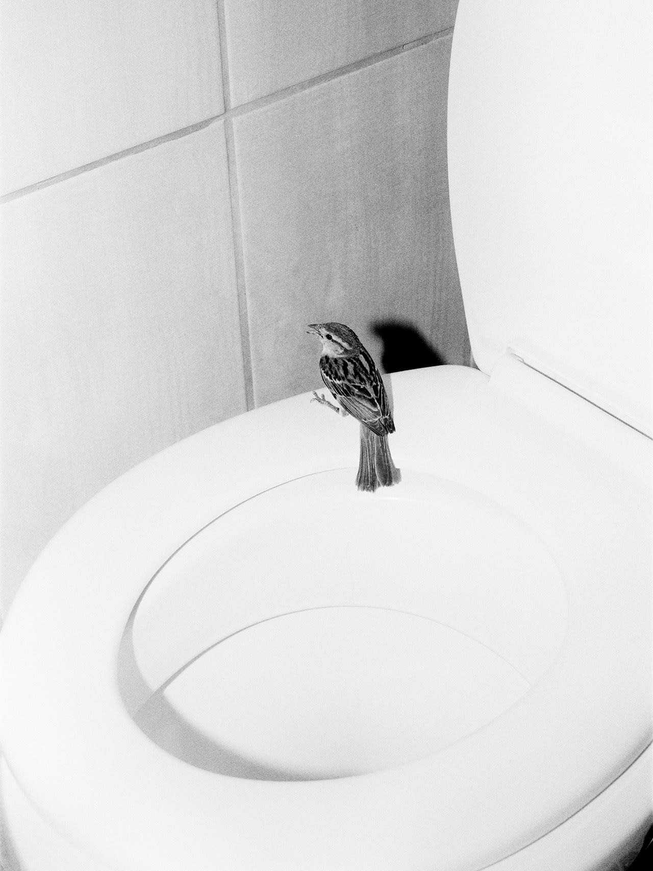 AIPAD- The Photography show