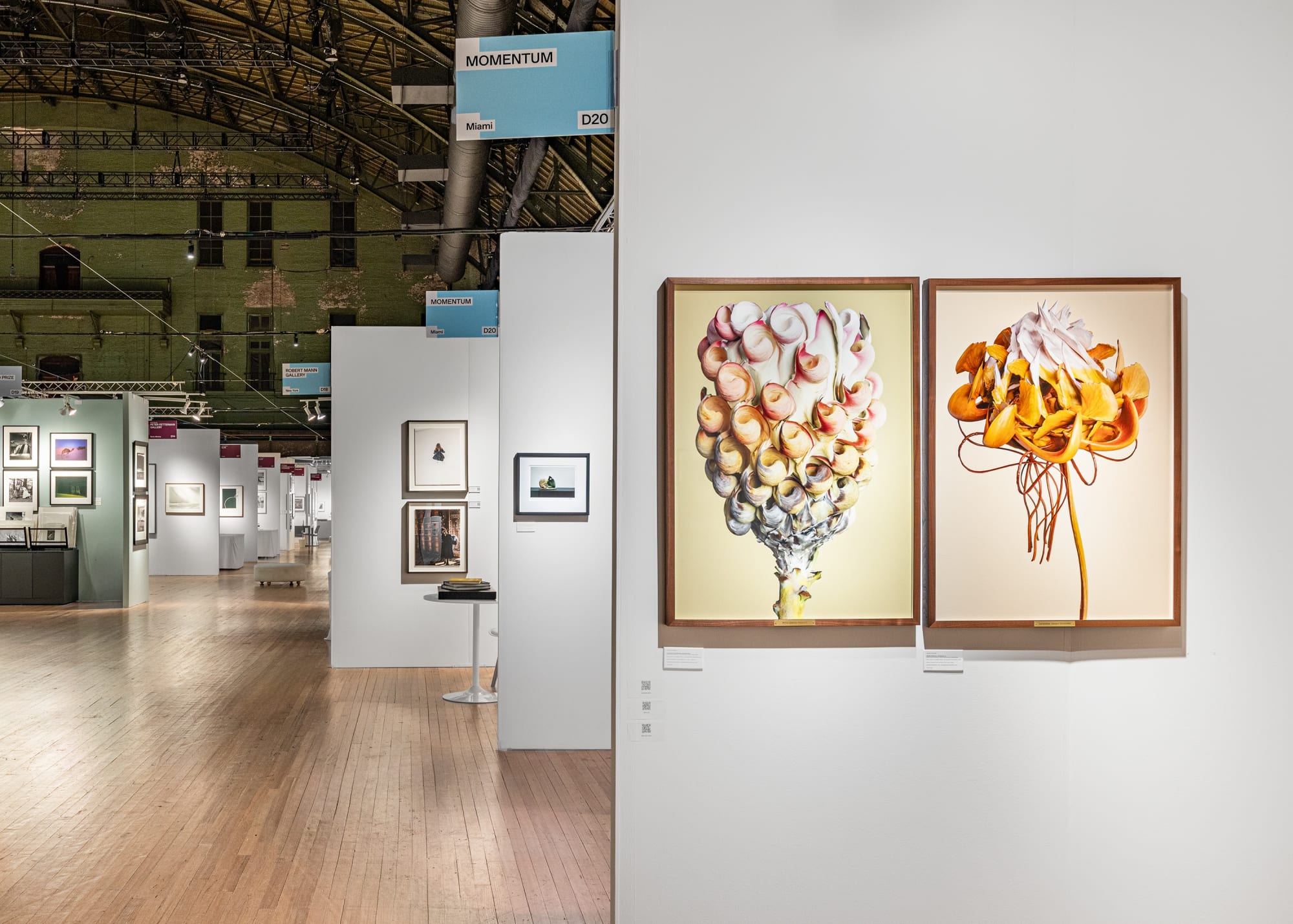 AIPAD THE PHOTOGRAPHY SHOW