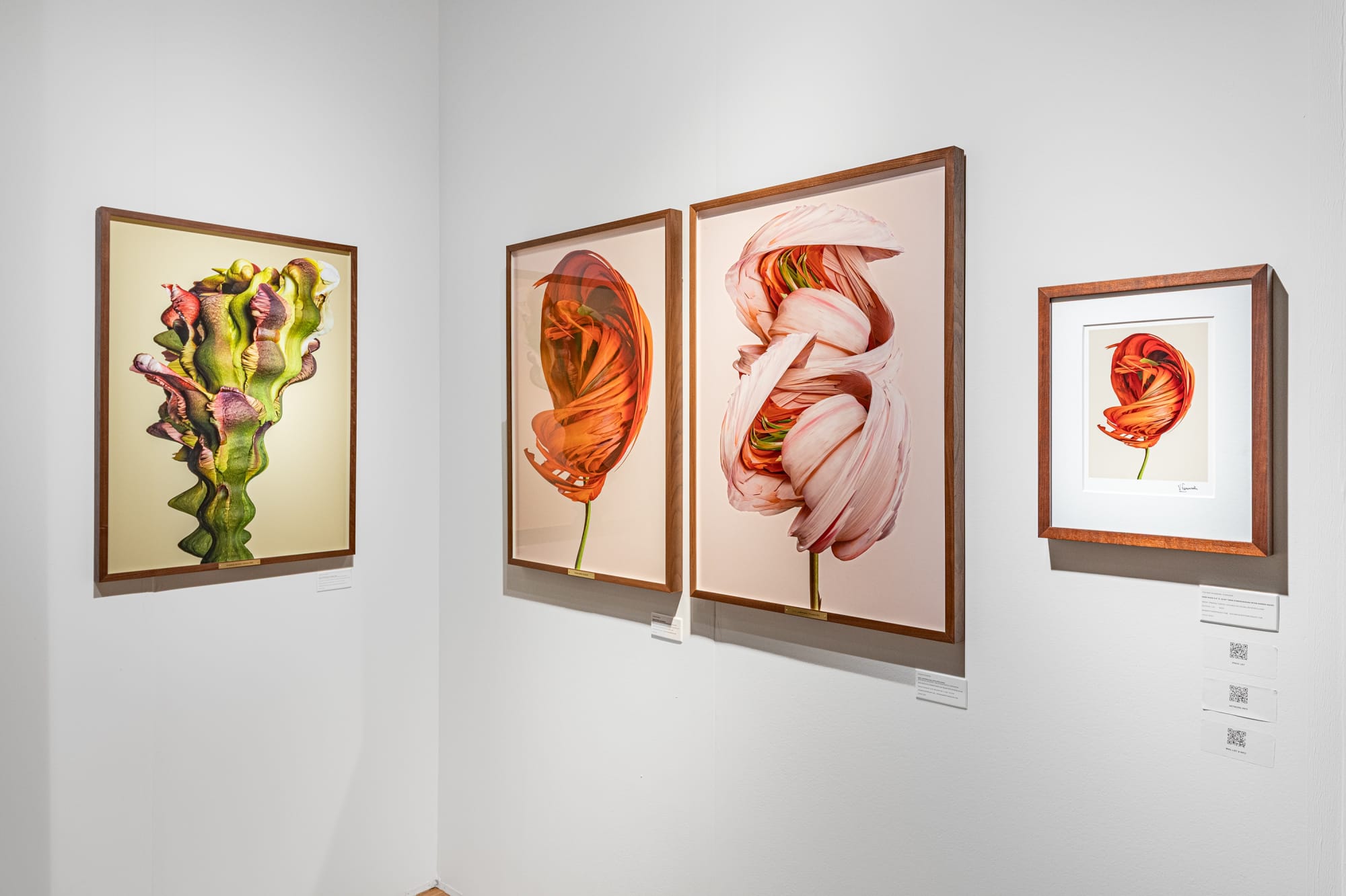 AIPAD THE PHOTOGRAPHY SHOW