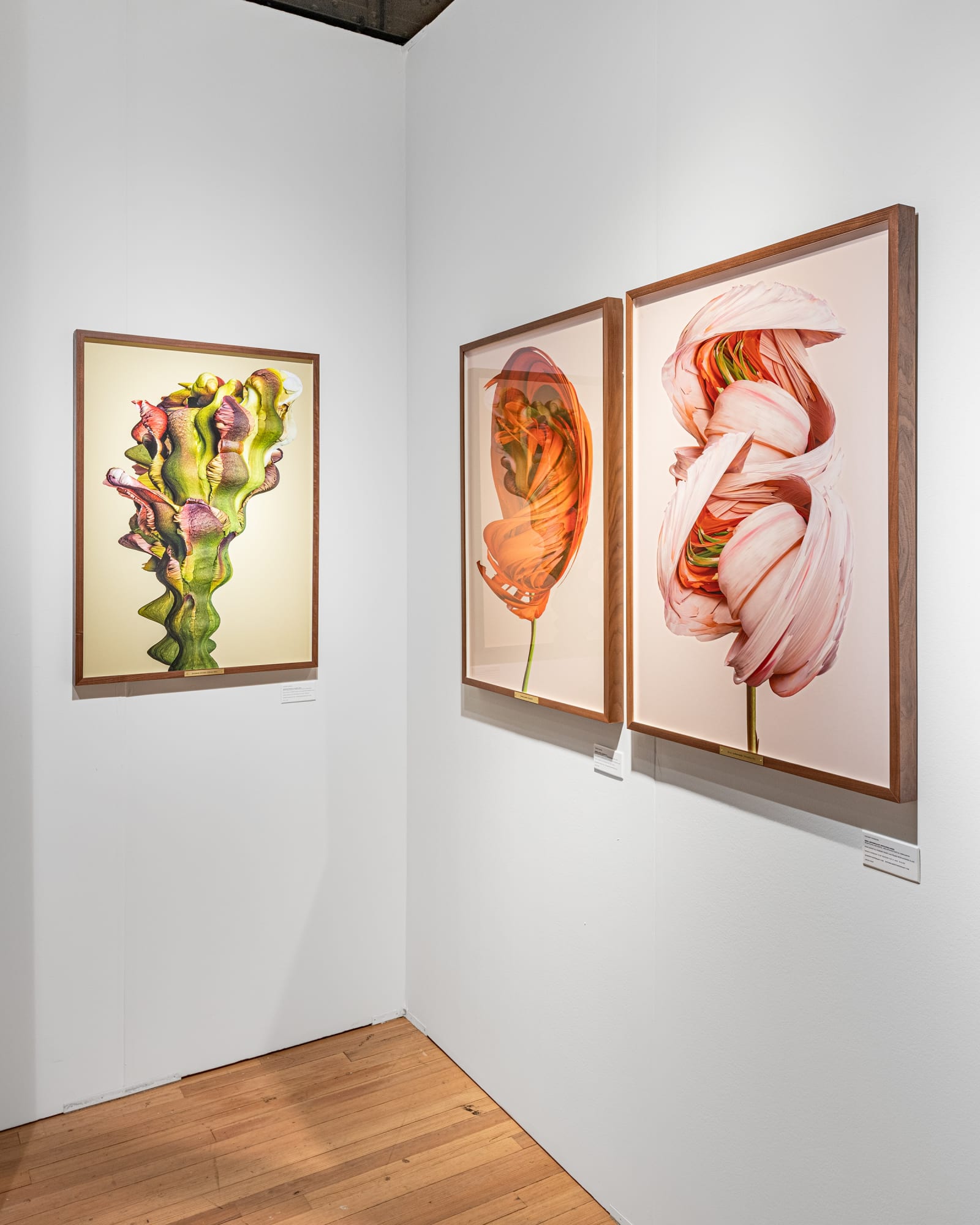 AIPAD THE PHOTOGRAPHY SHOW