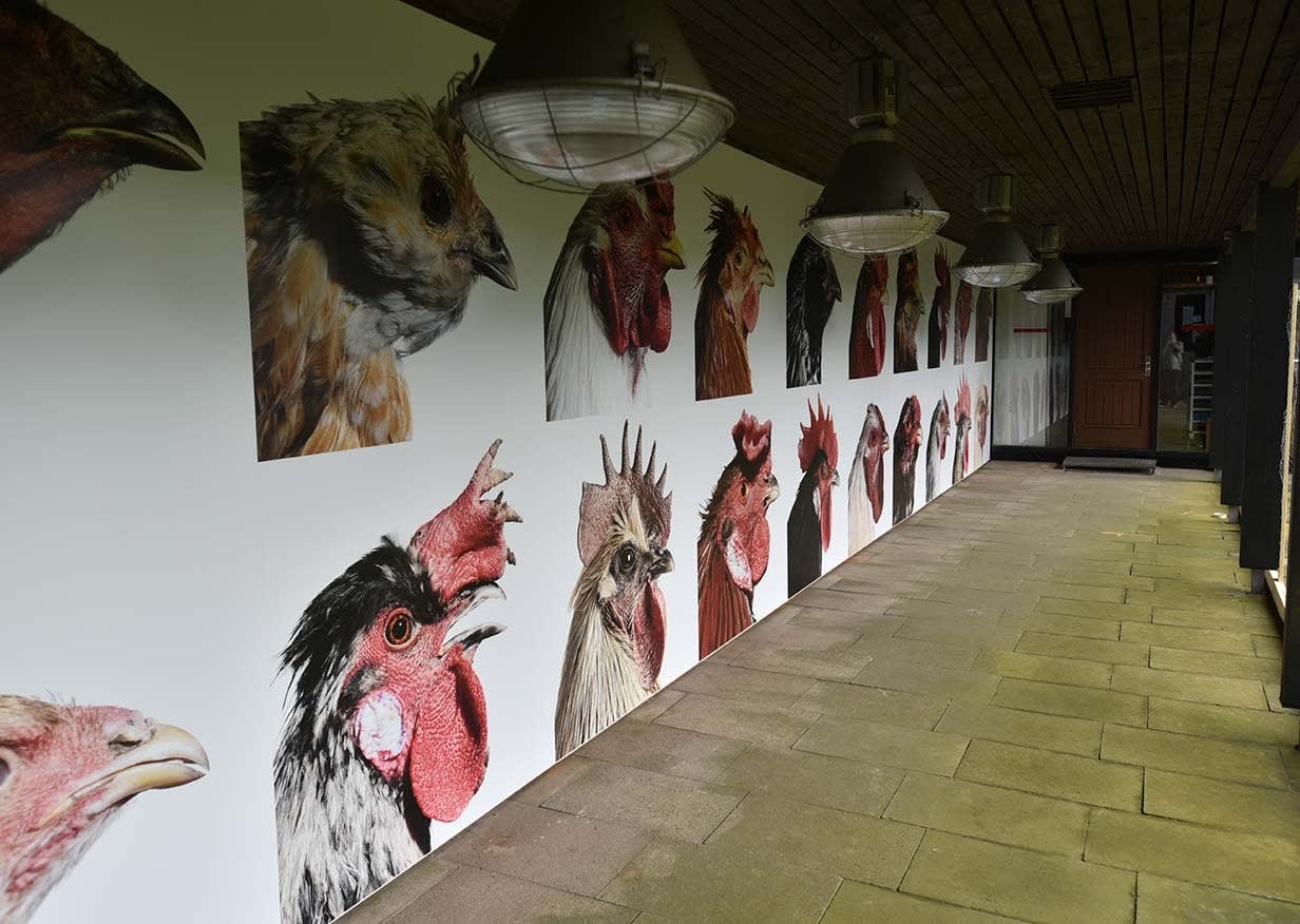 VII Biennale Herning, Socle du monde, To Challenge The Earth, The Moon & The Stars.