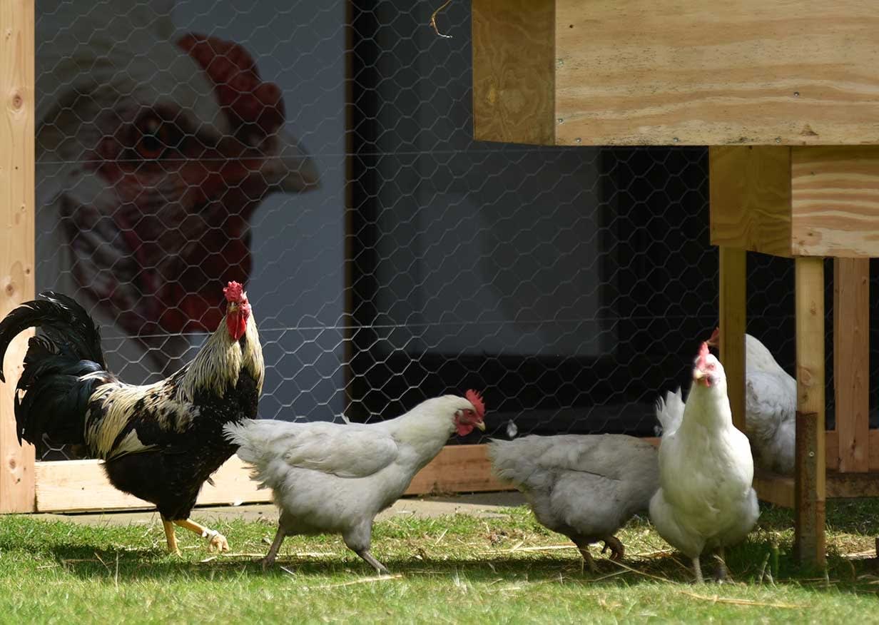 VII Biennale Herning, Socle du monde, To Challenge The Earth, The Moon & The Stars.