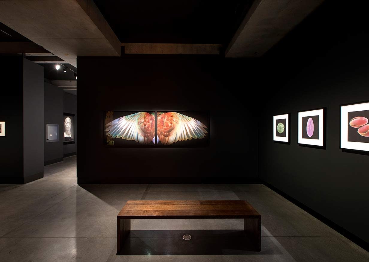 On the Origin of Art