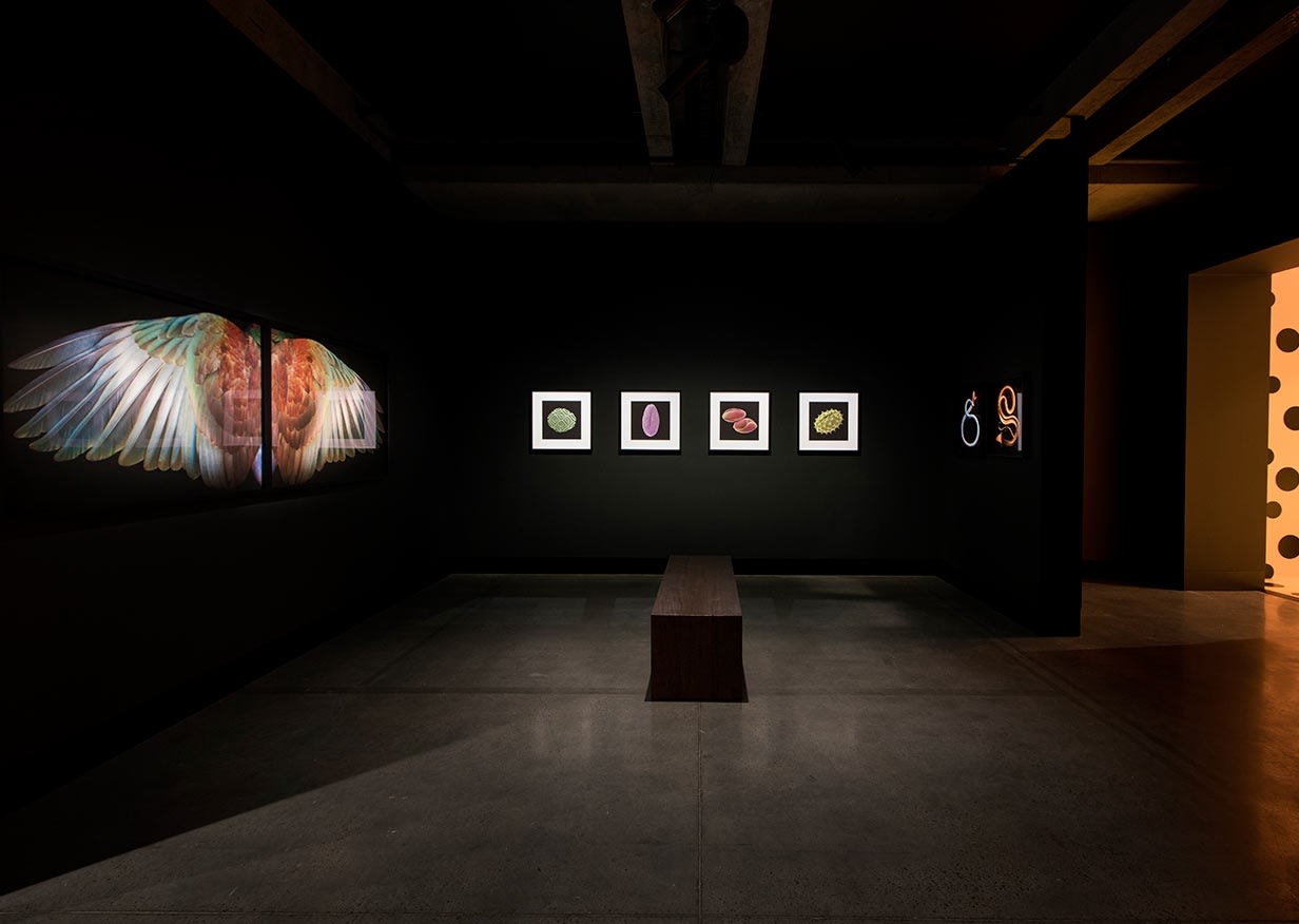 On the Origin of Art