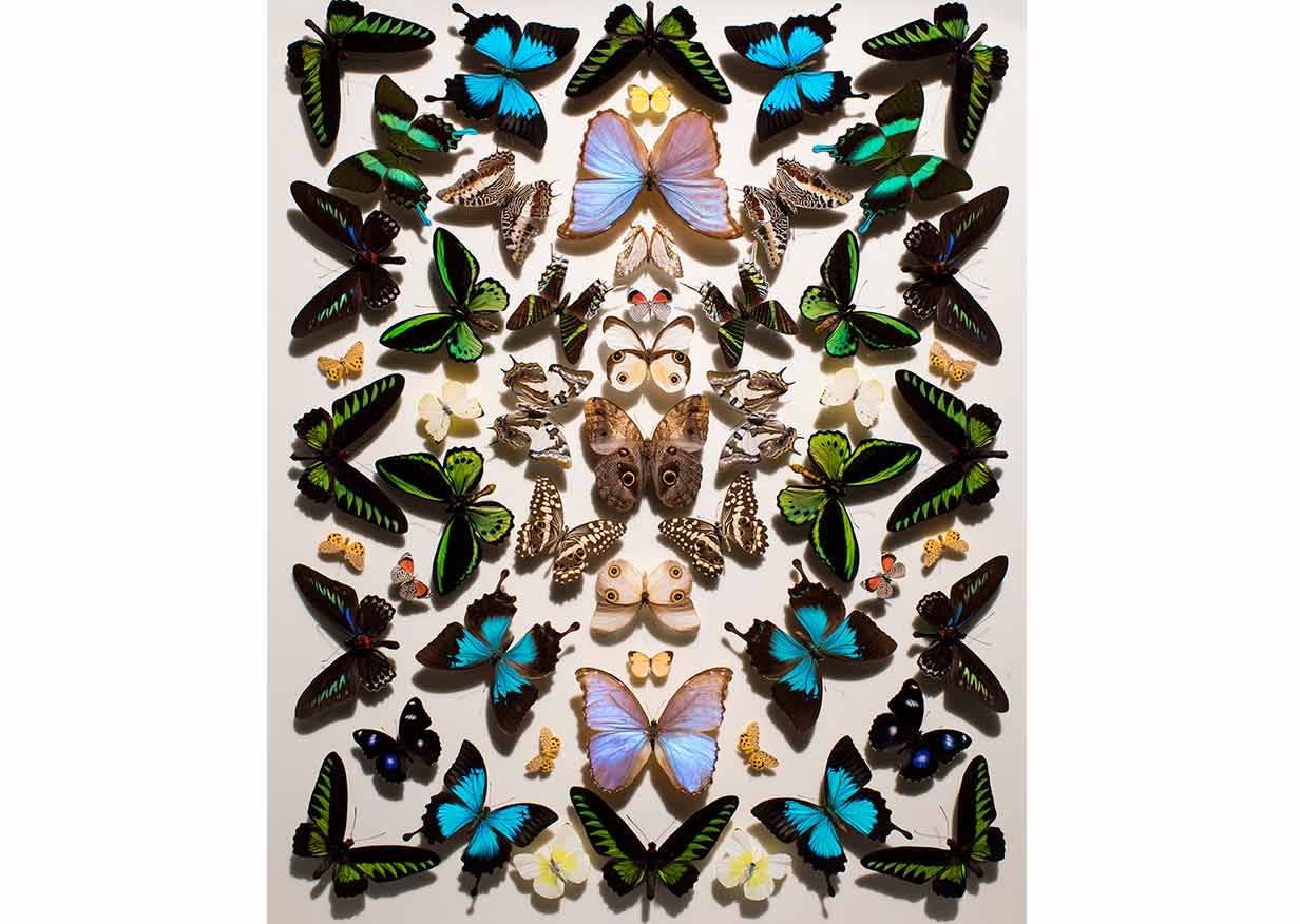 On the Origin of Art