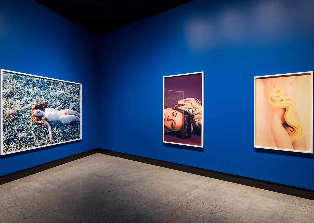 On the Origin of Art