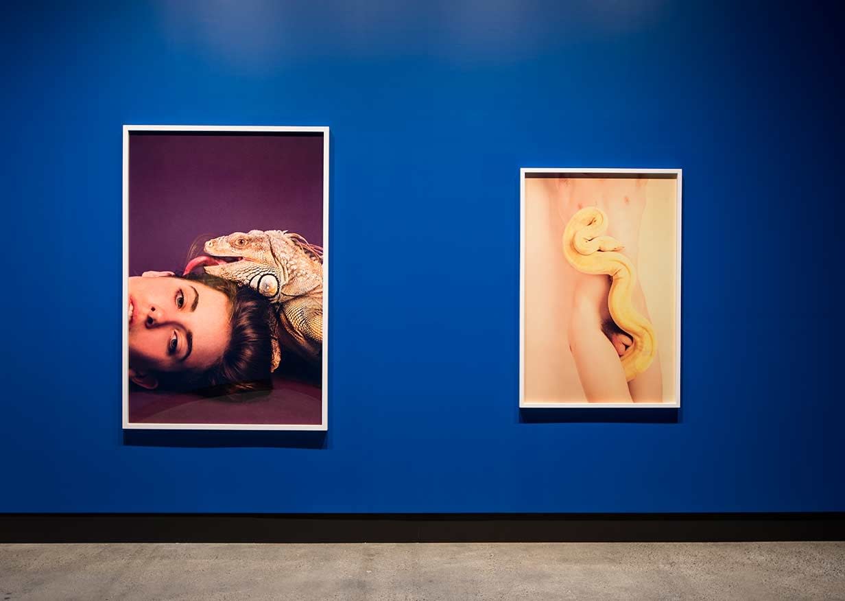 On the Origin of Art