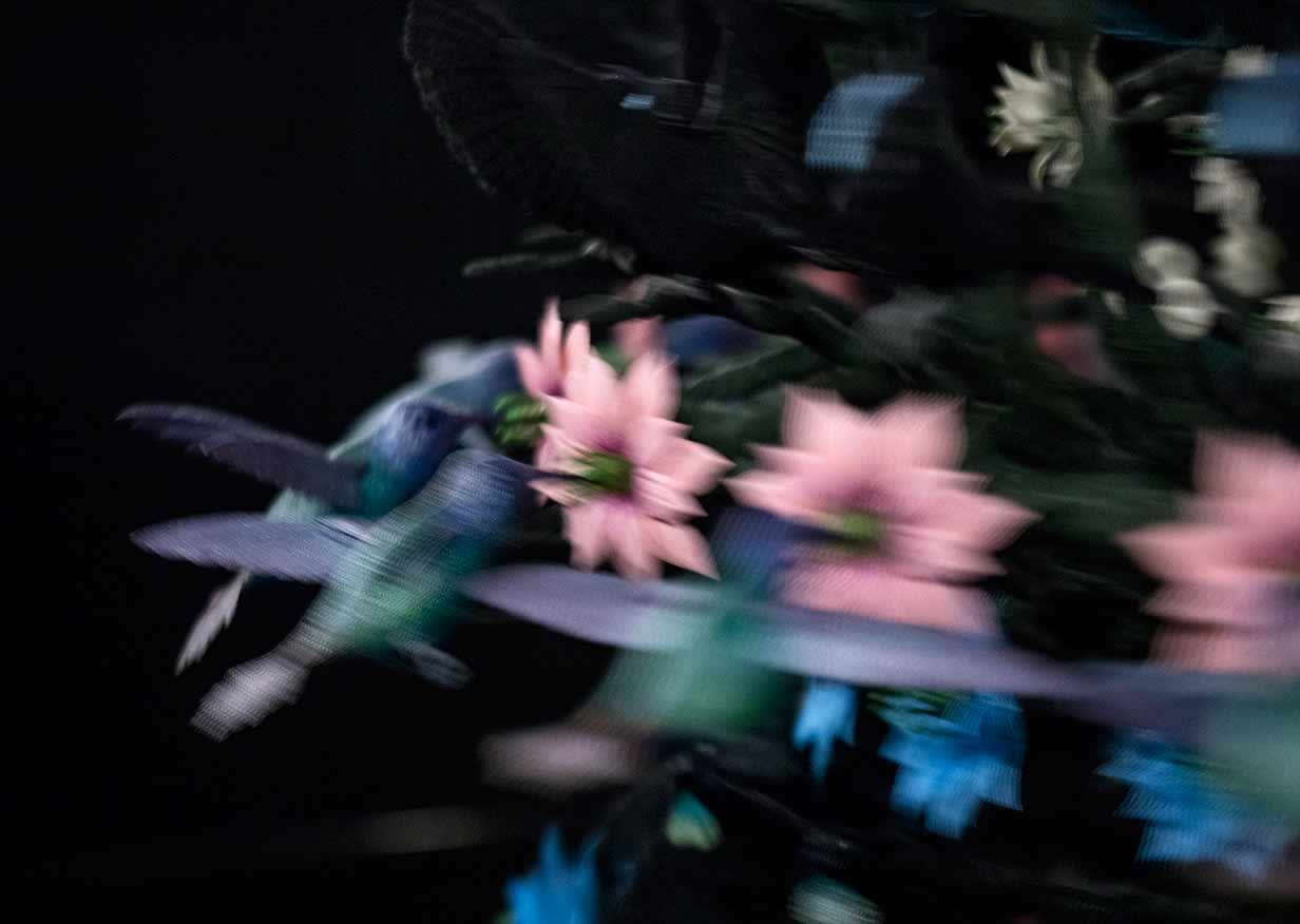 On the Origin of Art