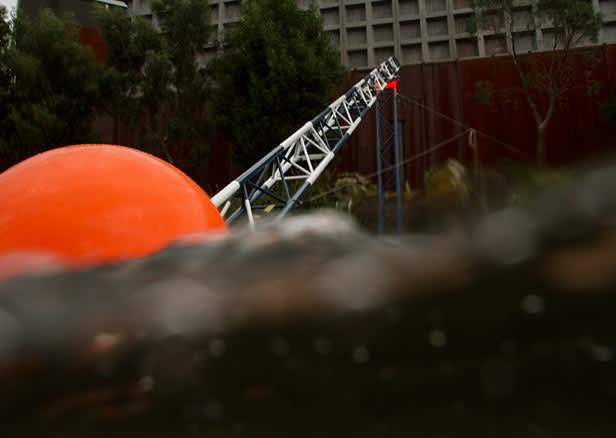 Cameron Robbins, Field Lines