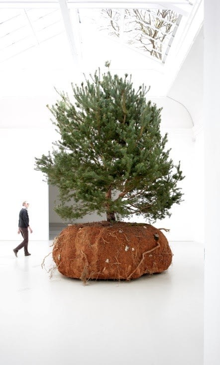 Céleste Boursier-Mougenot, Rêvolutions