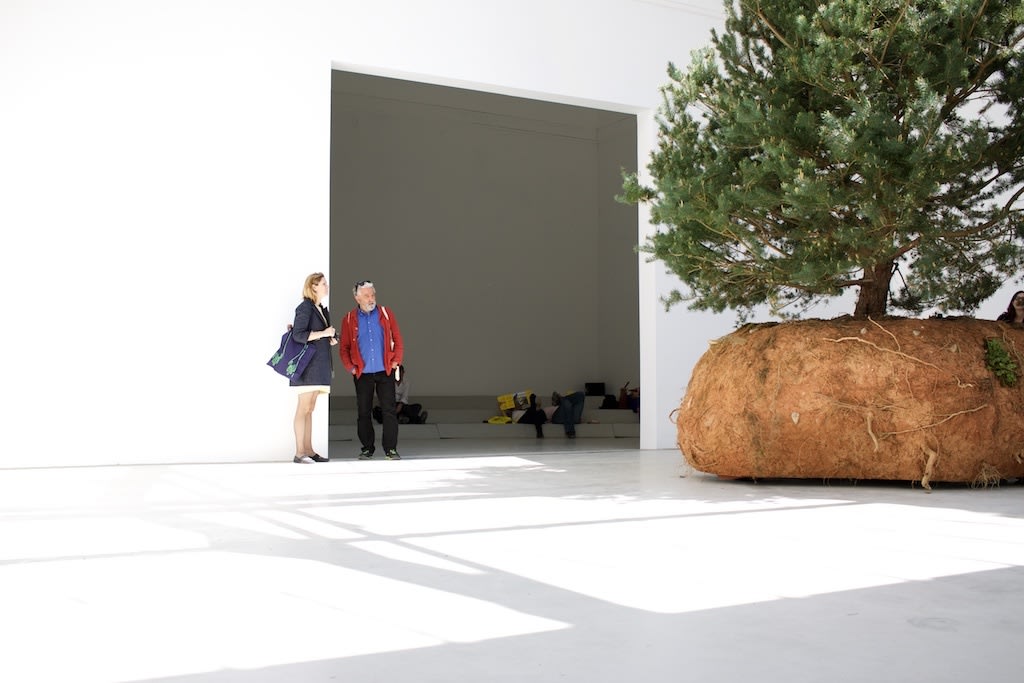 Céleste Boursier-Mougenot, Rêvolutions