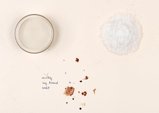 Marina Abramović, Private Archeology