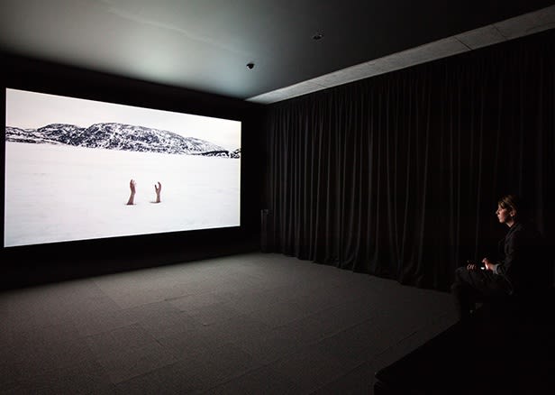 Biennale de l´Image en Mouvement (BIM)