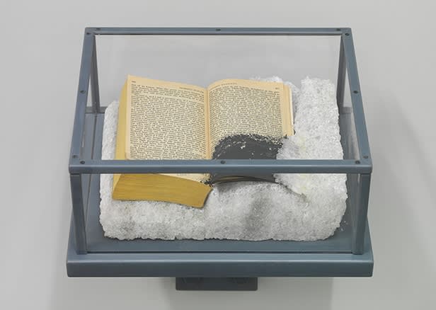 Matthew Barney, River of Fundament