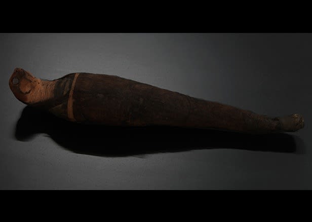 Matthew Barney, River of Fundament