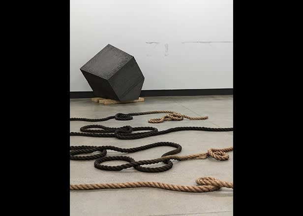 Matthew Barney, River of Fundament