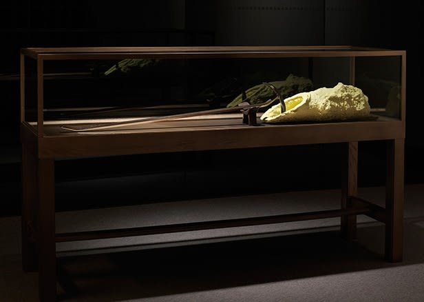 Matthew Barney, River of Fundament