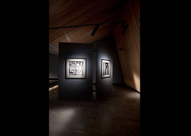 Roger Ballen, Asylum Series - Photographs, drawings, installation