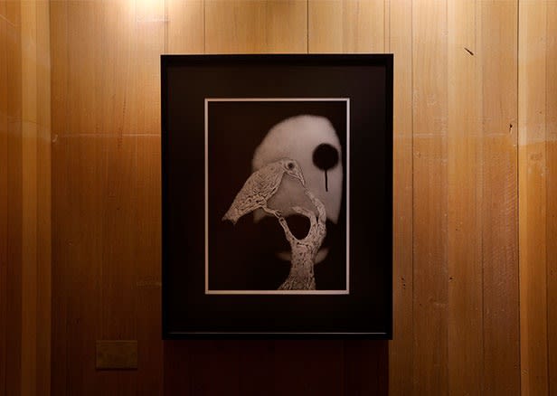 Roger Ballen, Asylum Series - Photographs, drawings, installation