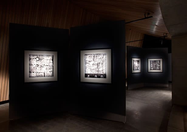 Roger Ballen, Asylum Series - Photographs, drawings, installation