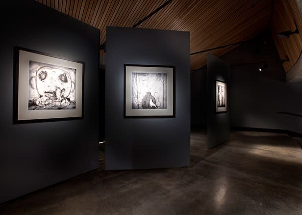 Roger Ballen, Asylum Series - Photographs, drawings, installation