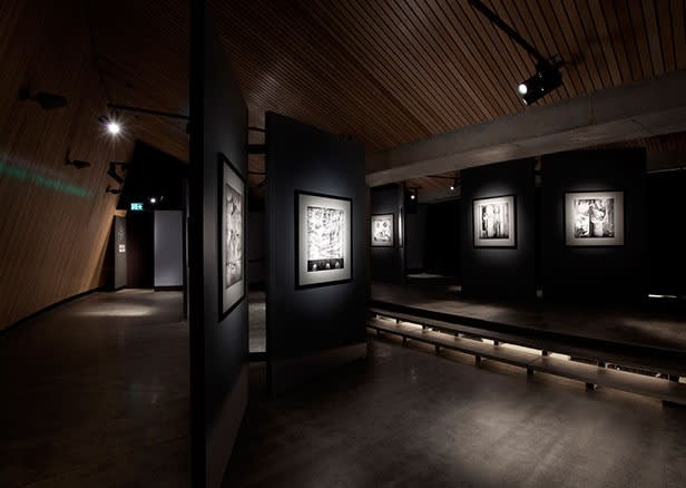 Roger Ballen, Asylum Series - Photographs, drawings, installation