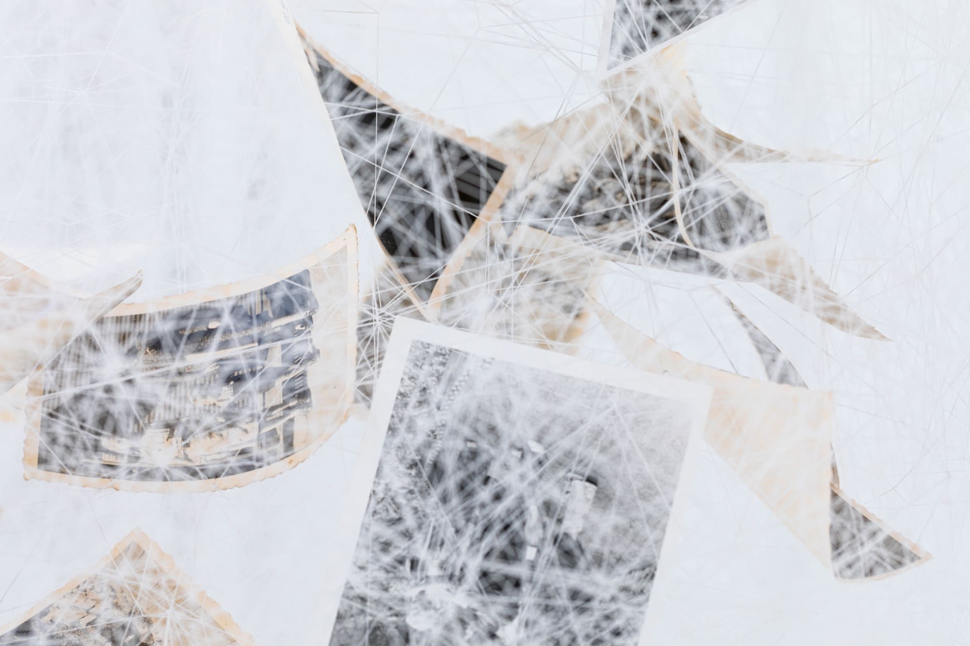 Présences Croisées