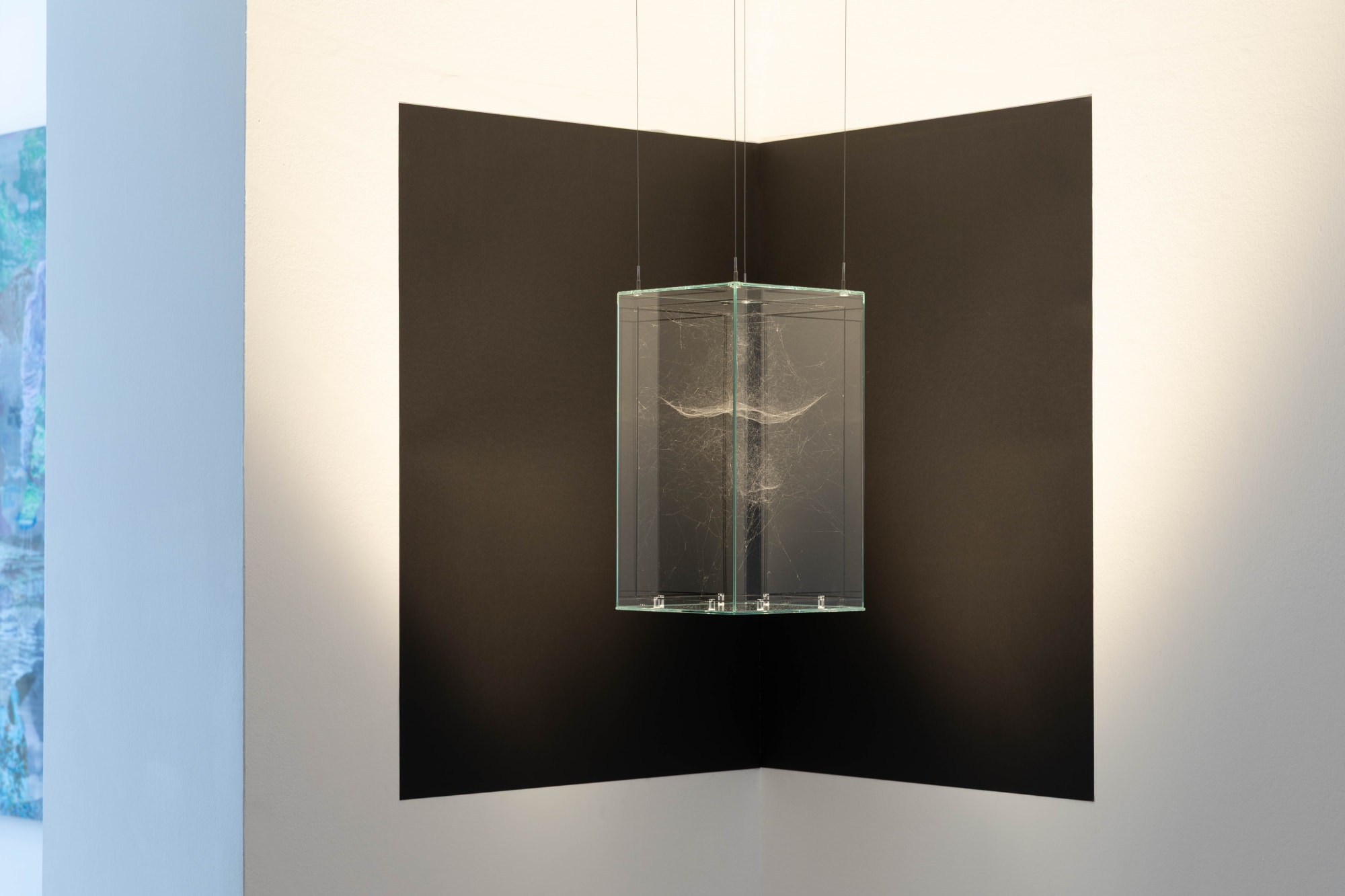 Présences Croisées