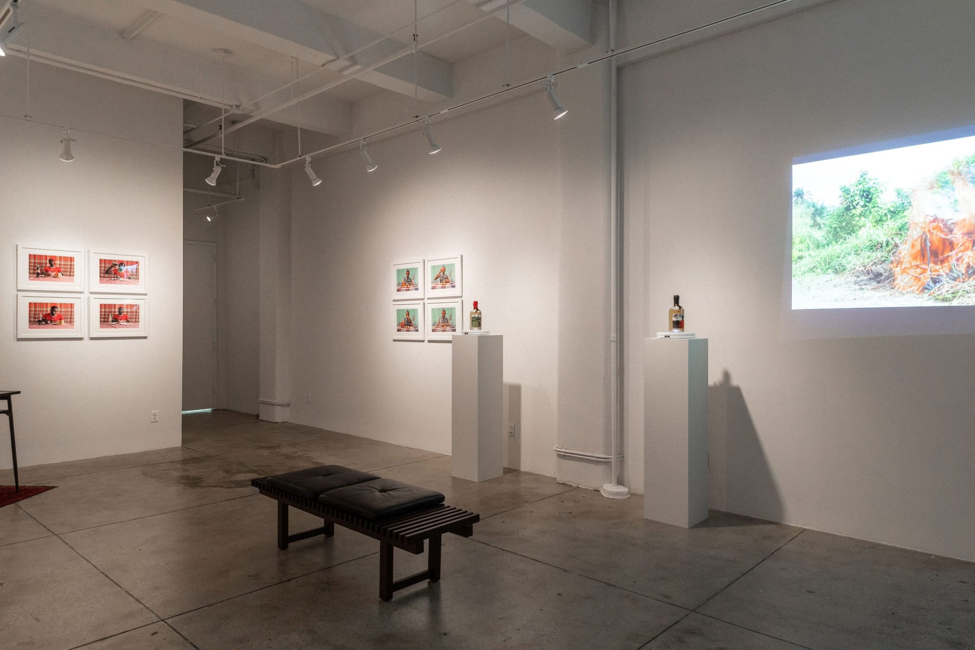 Illicit Gin Institute