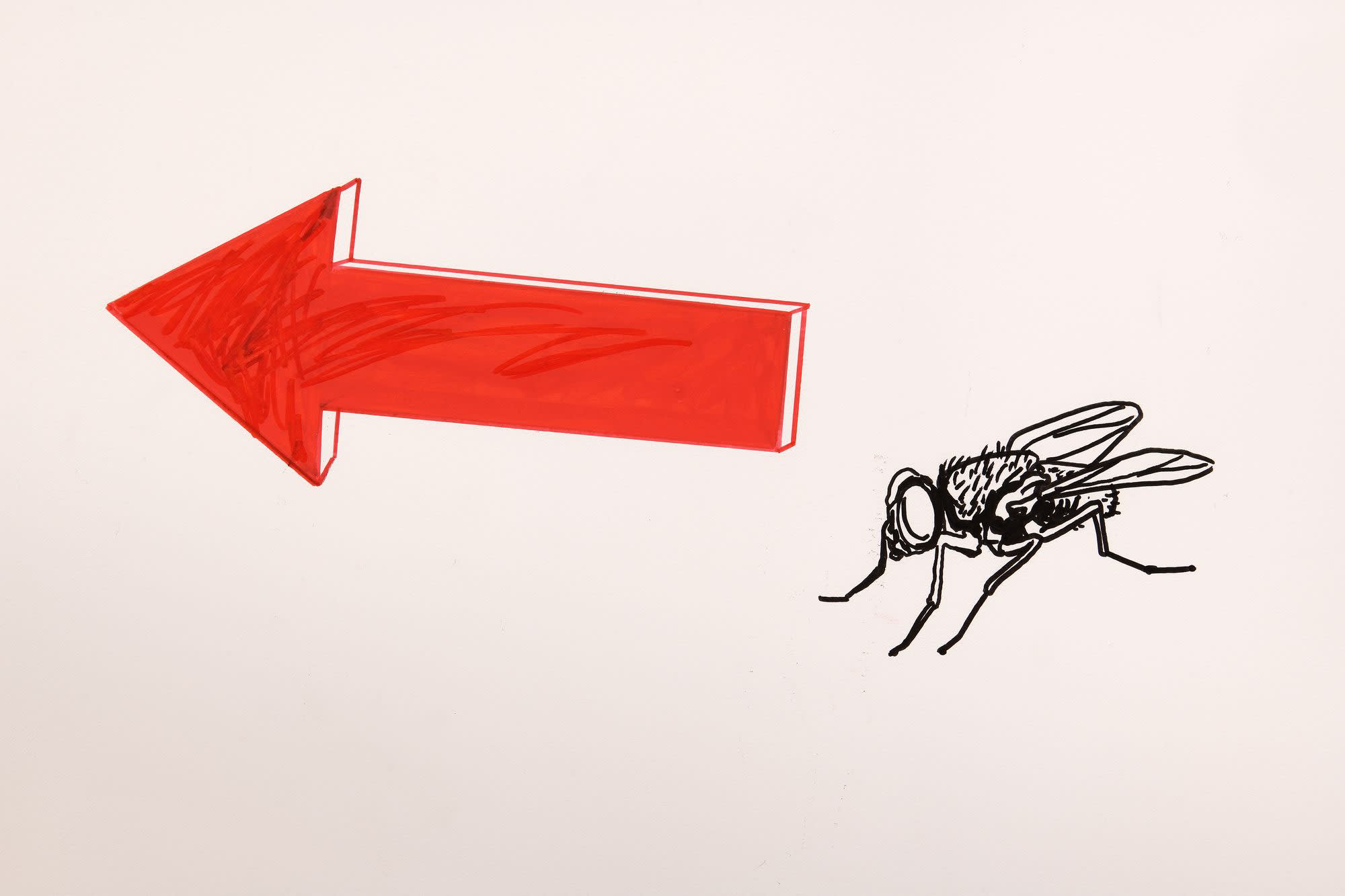 Until My Veins Collapse (States of Emergency)