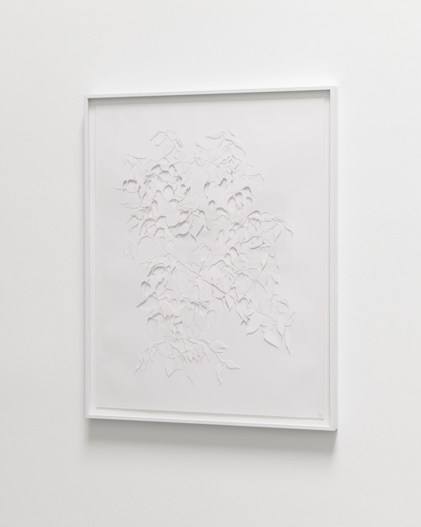 Conversations in the Dark