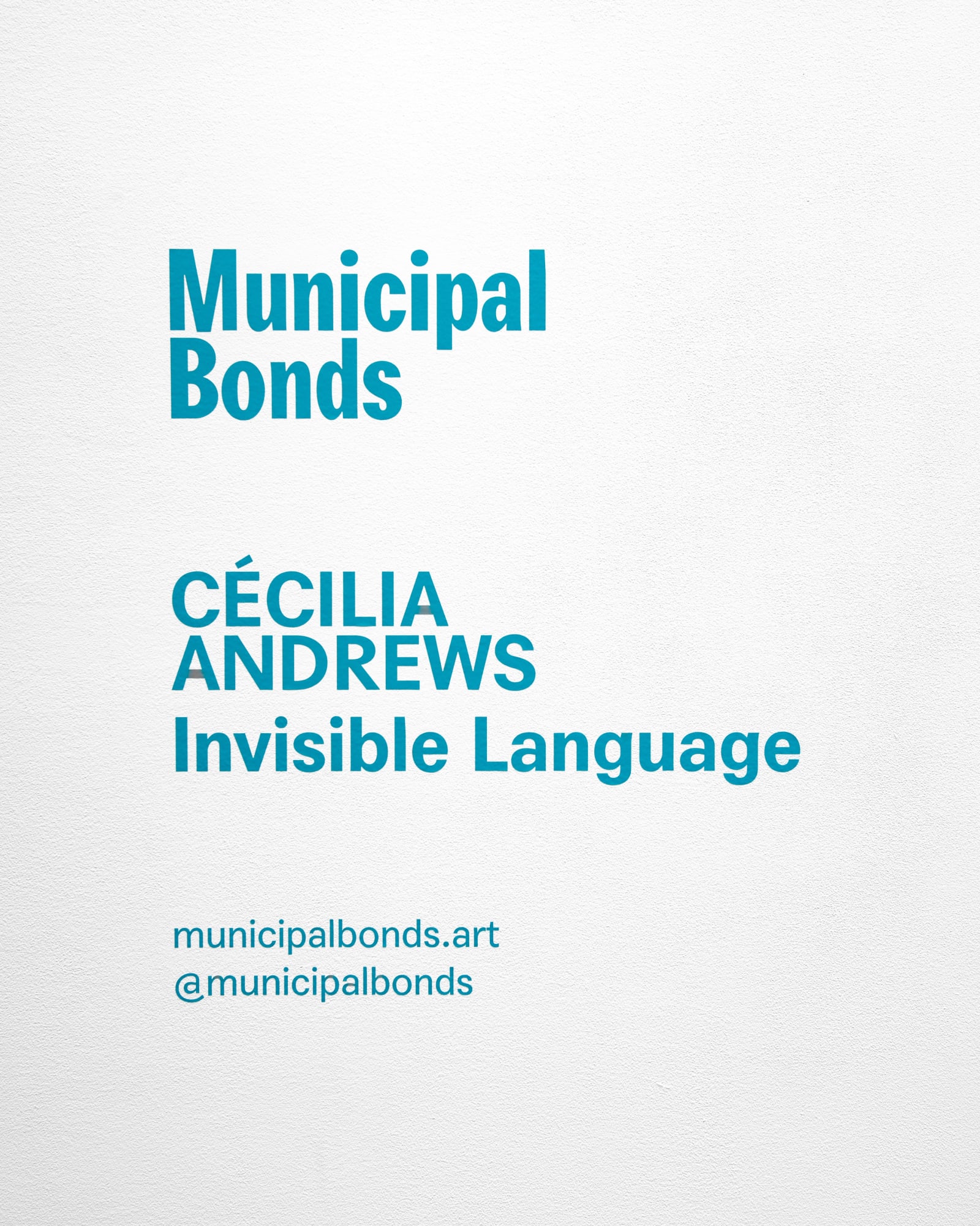 Cécilia Andrews: Invisible Language
