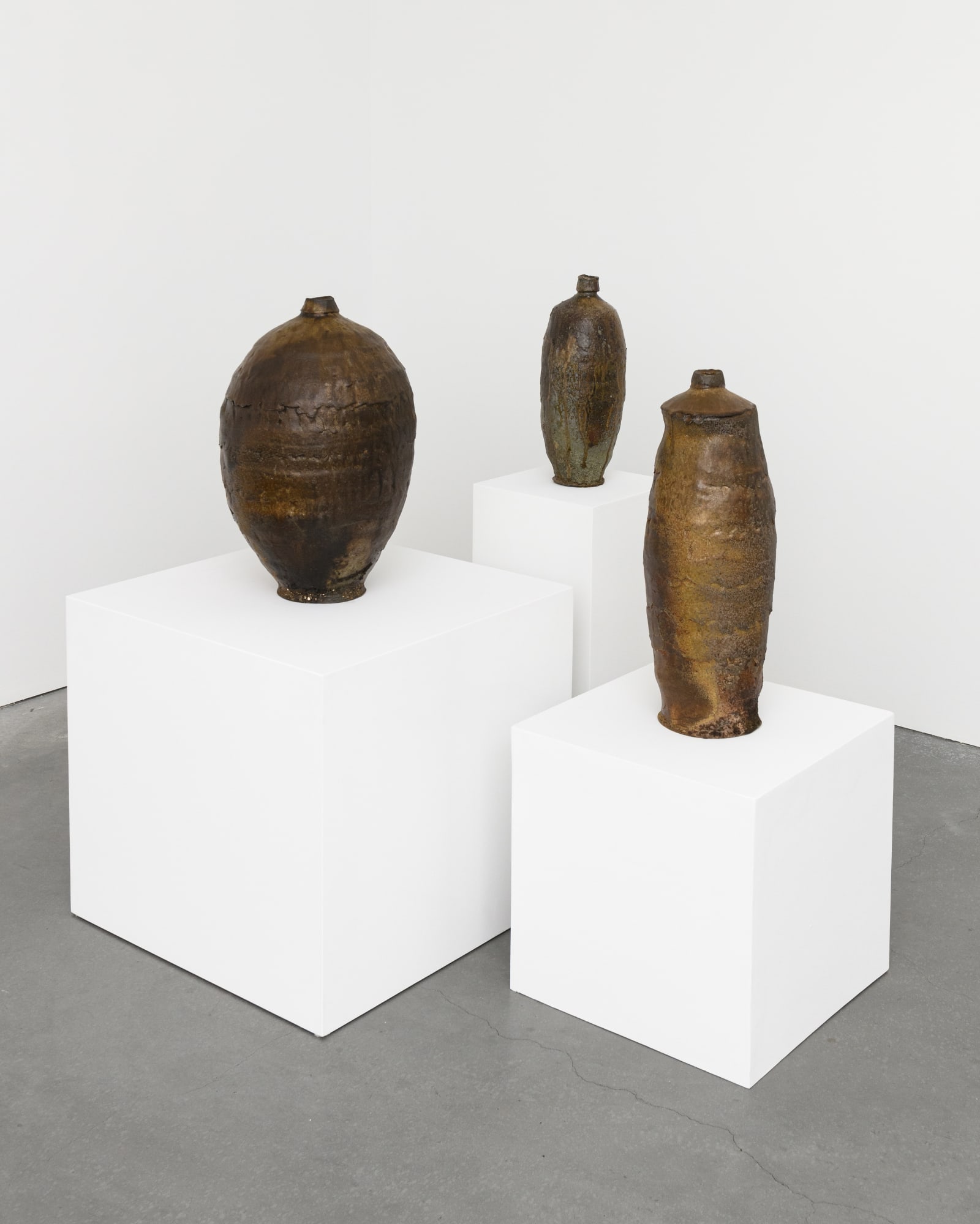 Generative Earth: Solange Roberdeau & Nick Schwartz