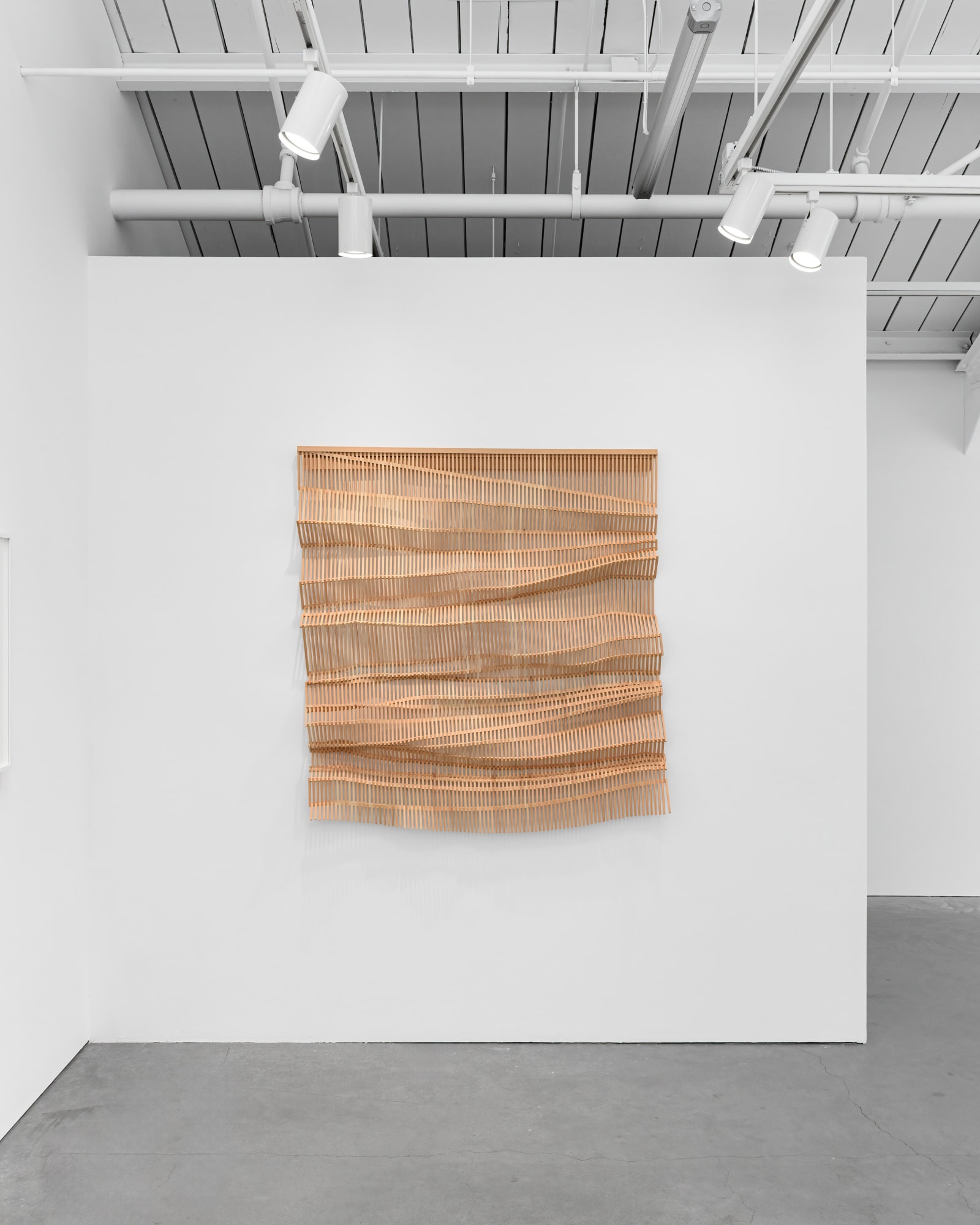 Invisible Forces: Yvonne Mouser & Jane Springwater