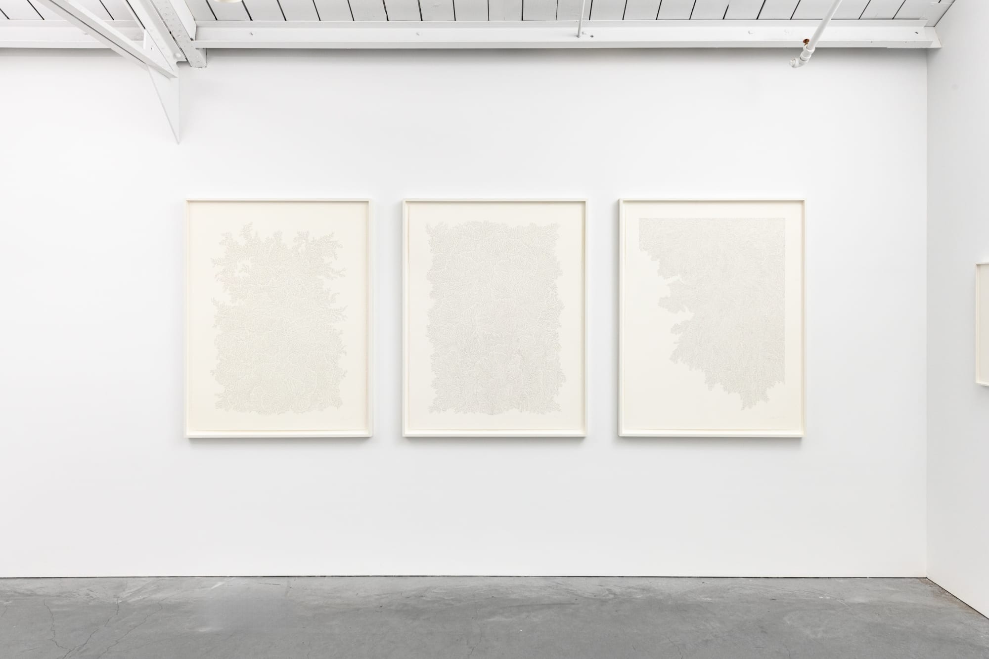 Jane Springwater: Parallax