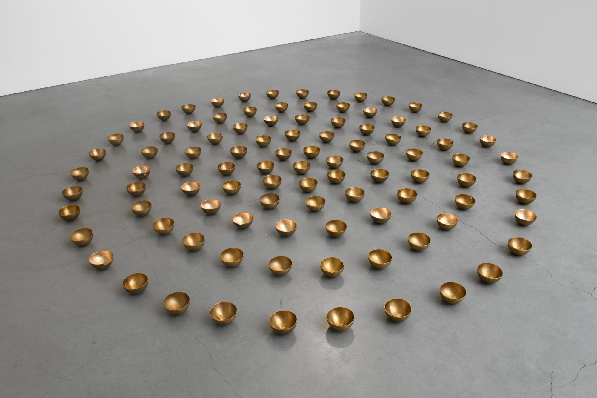 Afton Love: 100 Bowls, Boundless