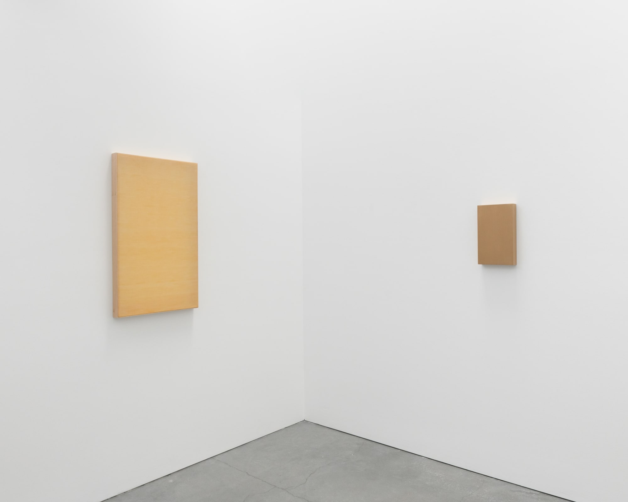 Afton Love: 100 Bowls, Boundless