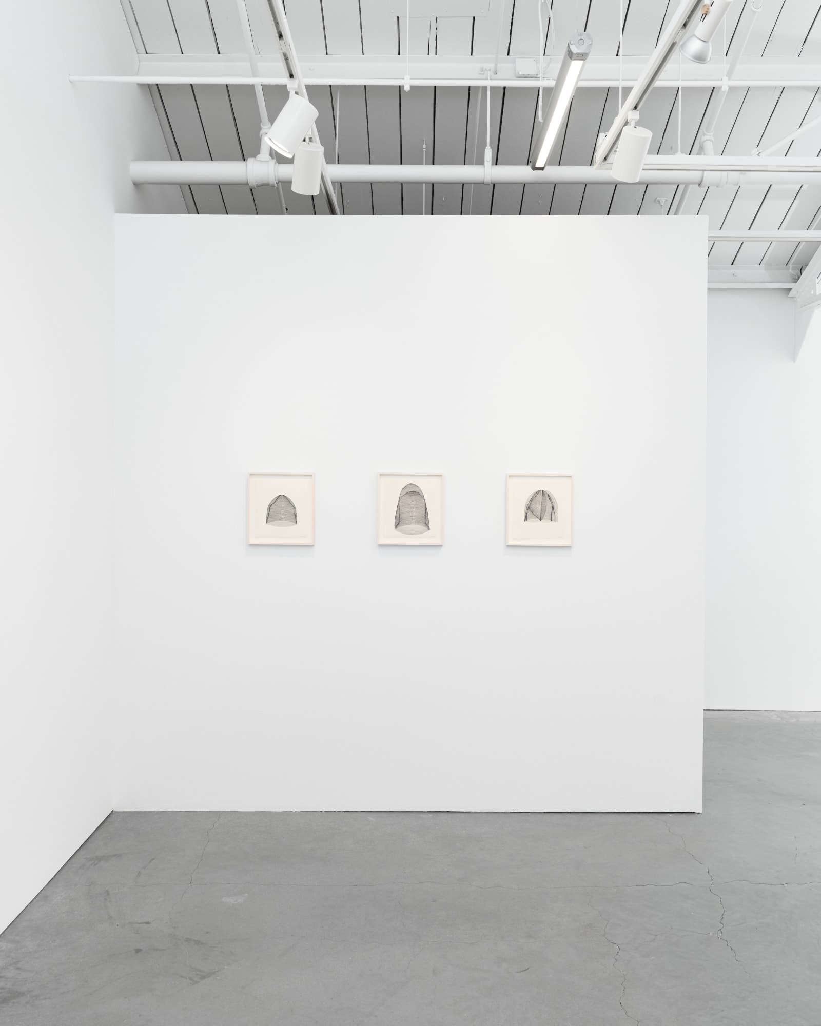 Danielle Dimston: The Enigma of Geometries