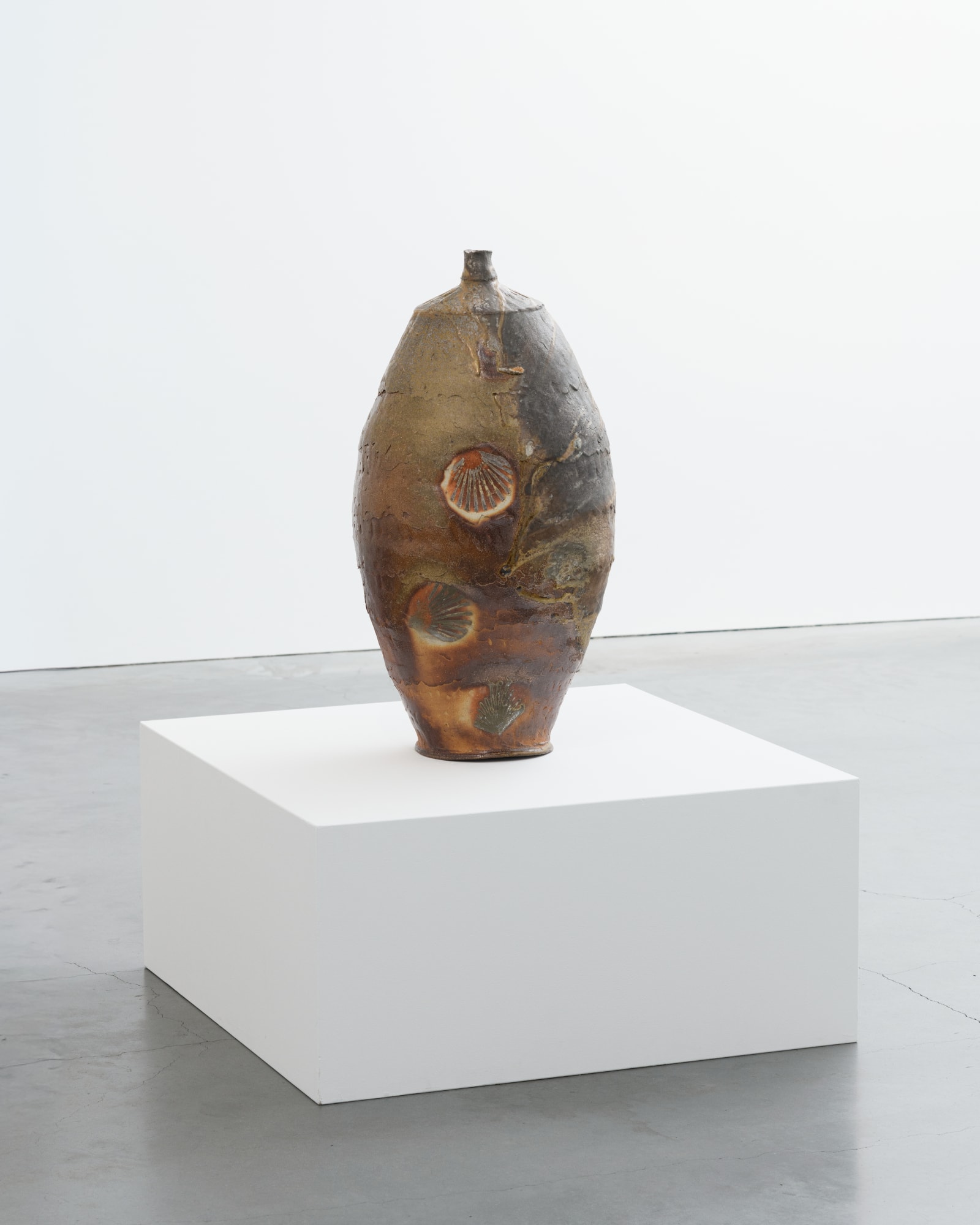 Nick Schwartz: Modern Fossils