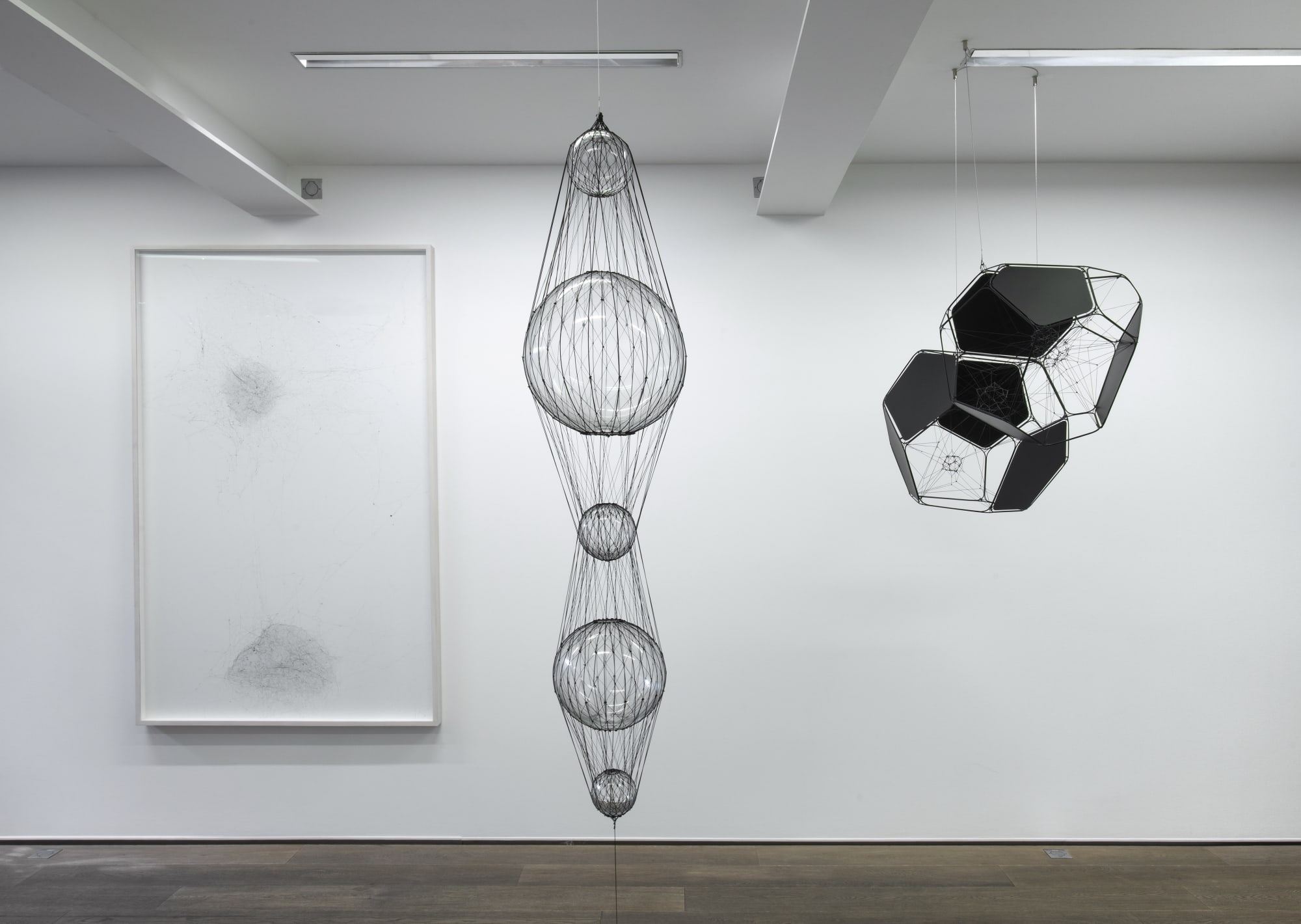 Calder | Saraceno