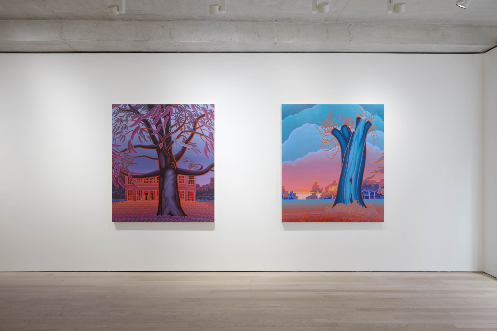 PENUMBRA (No. 9 Cork Street )