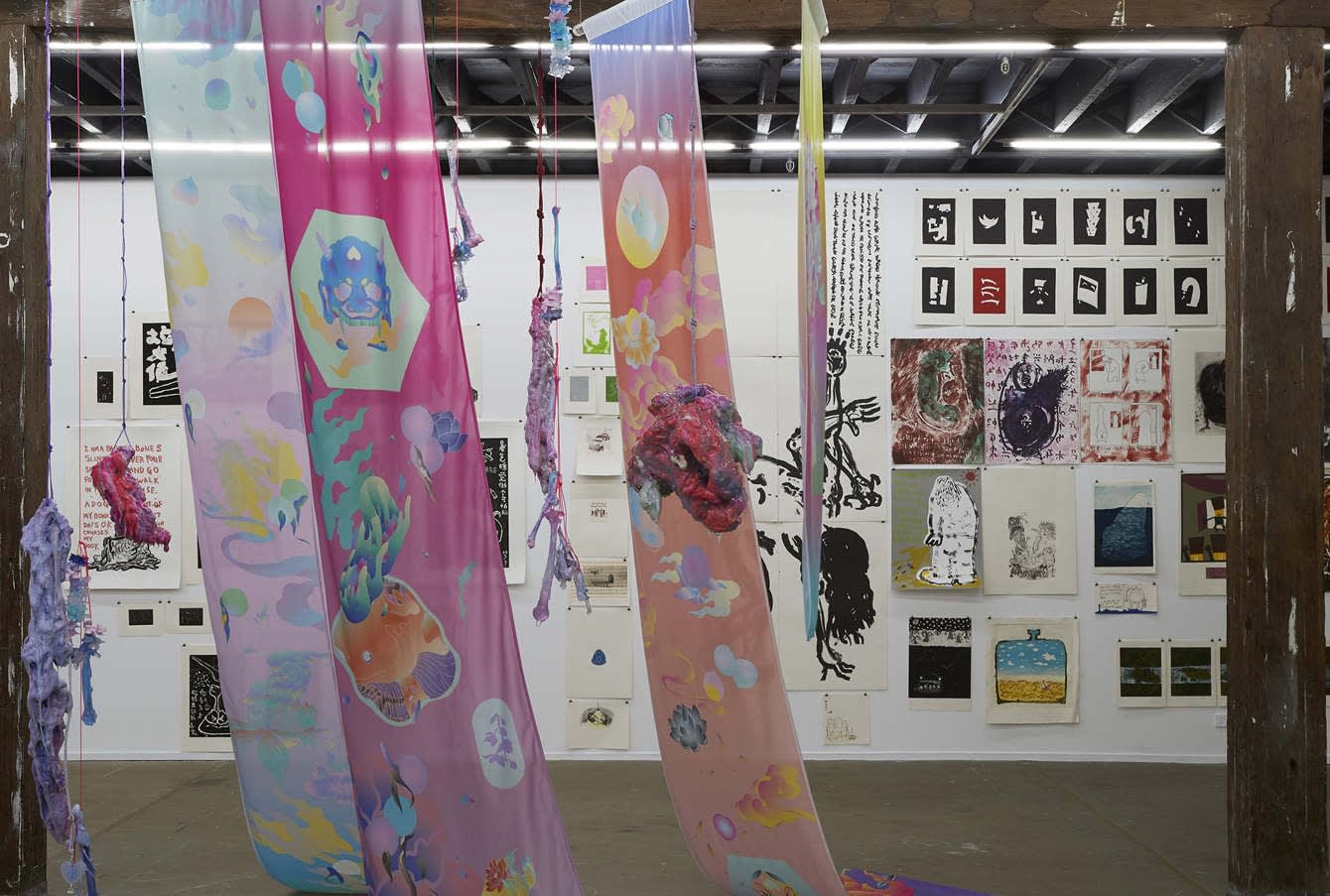 NSW Visual Arts Emerging Fellowship