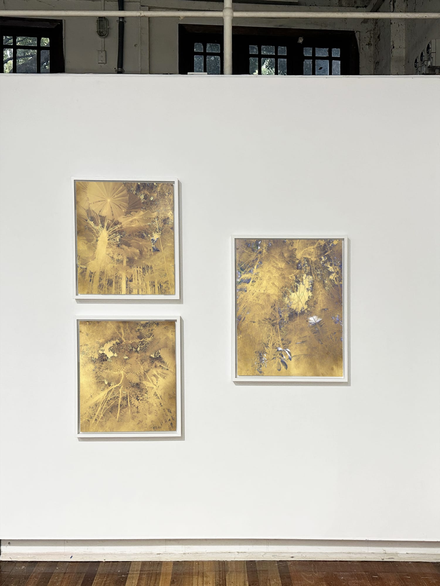 Danie Mellor: recent works.