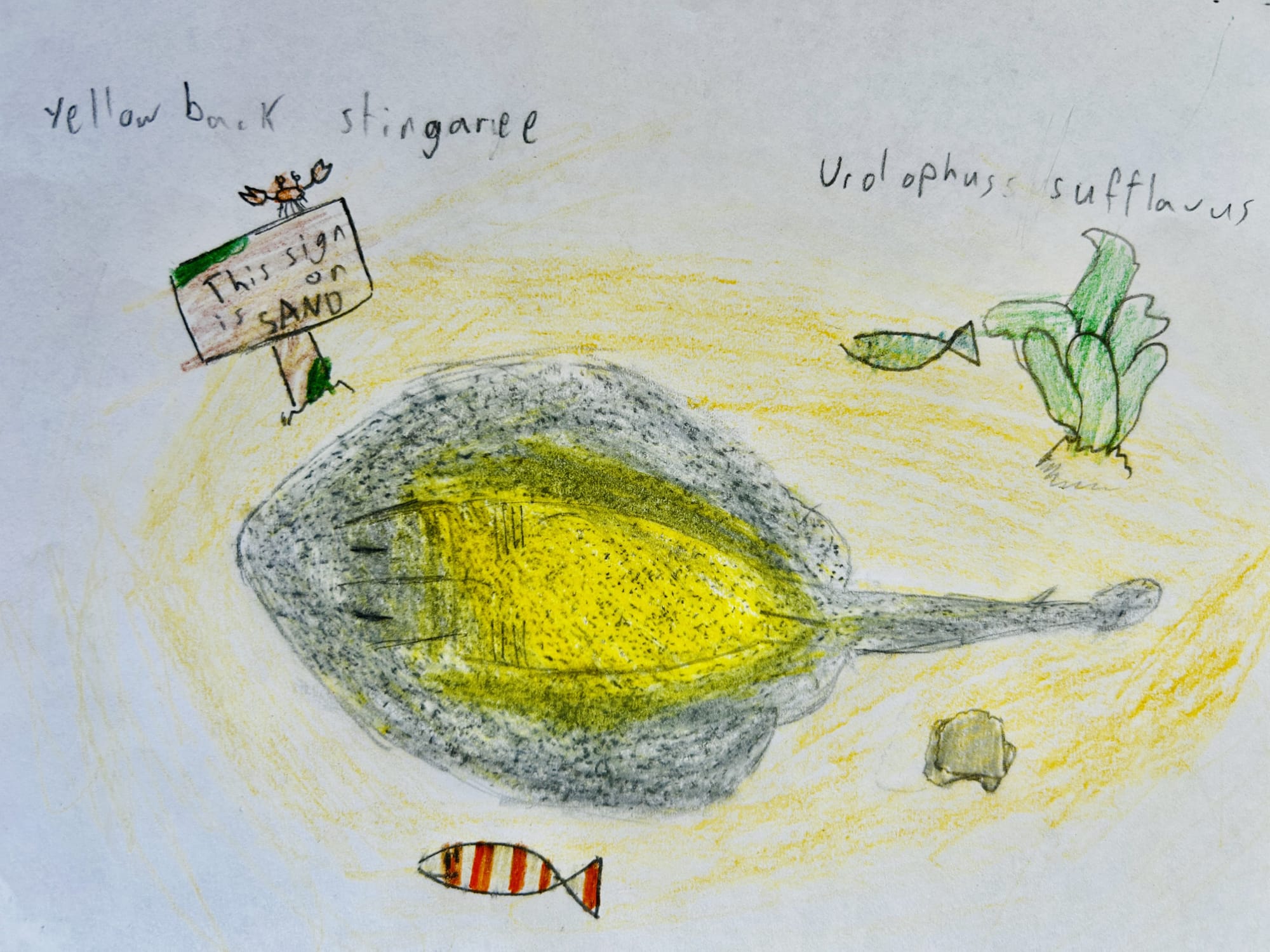 Artwork by Maya H McDowell.