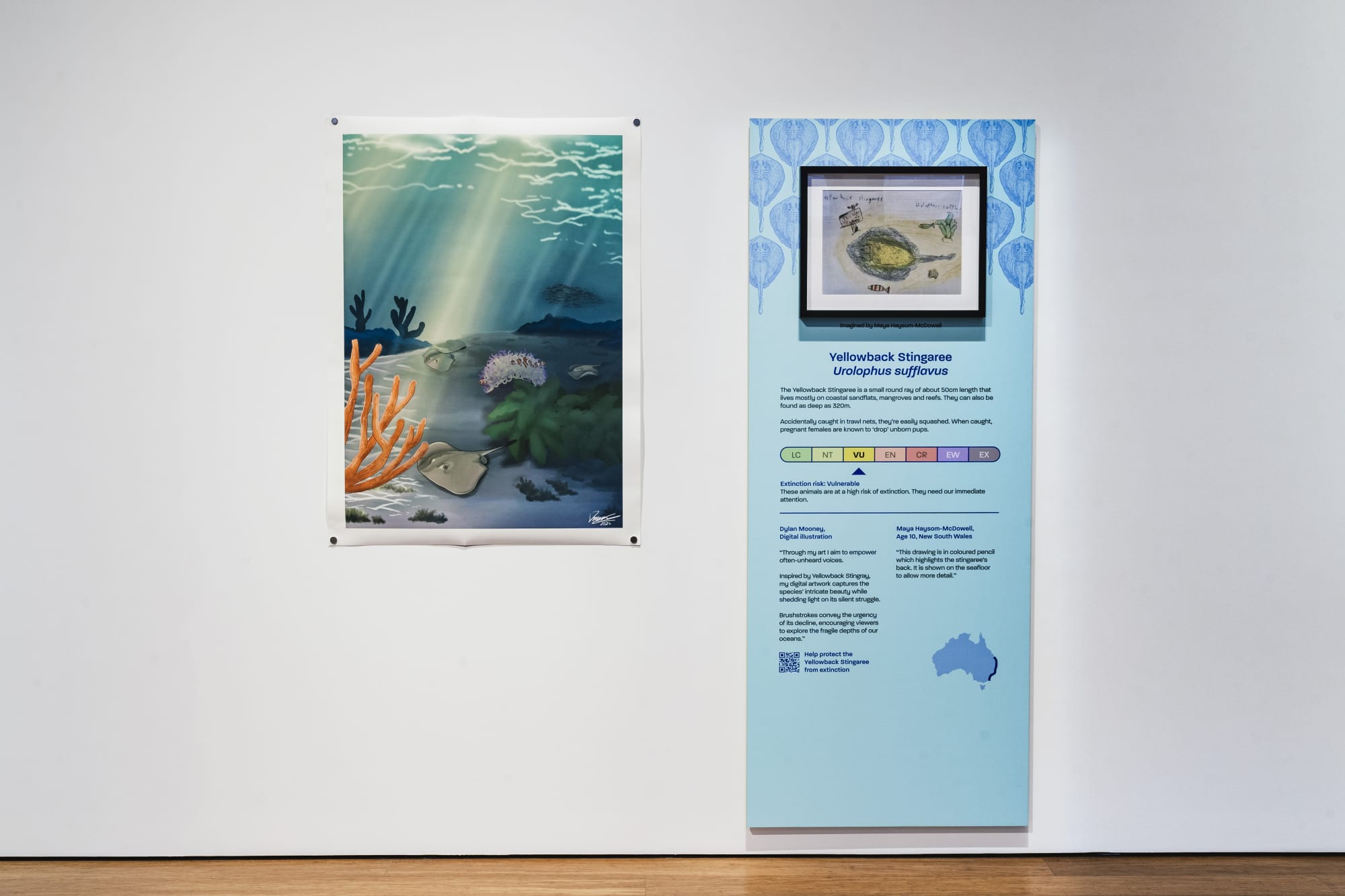 Fantastical Sharks & Rays