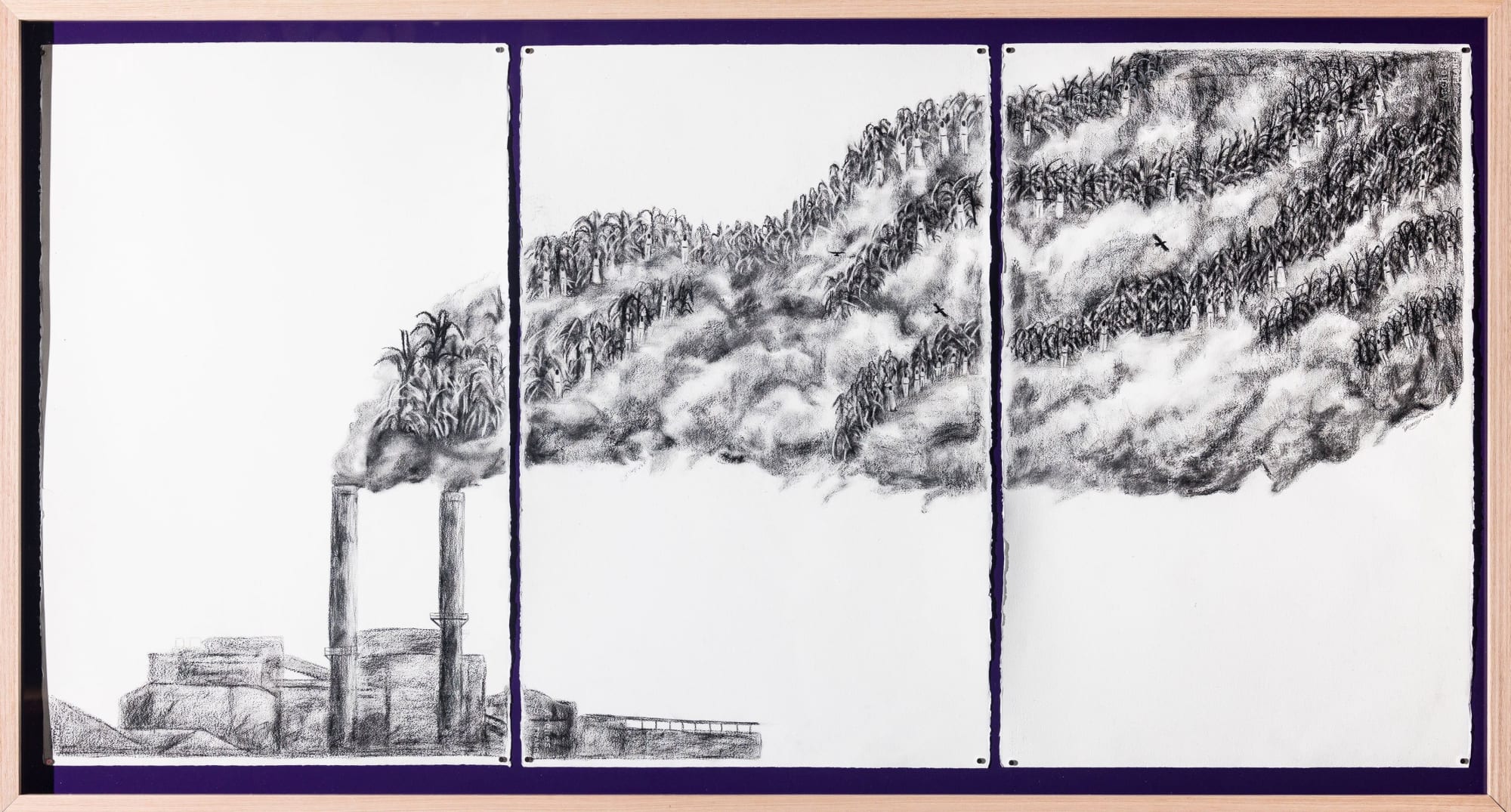 Dylan Mooney Through the flames we rise, 2024 pencil and charcoal