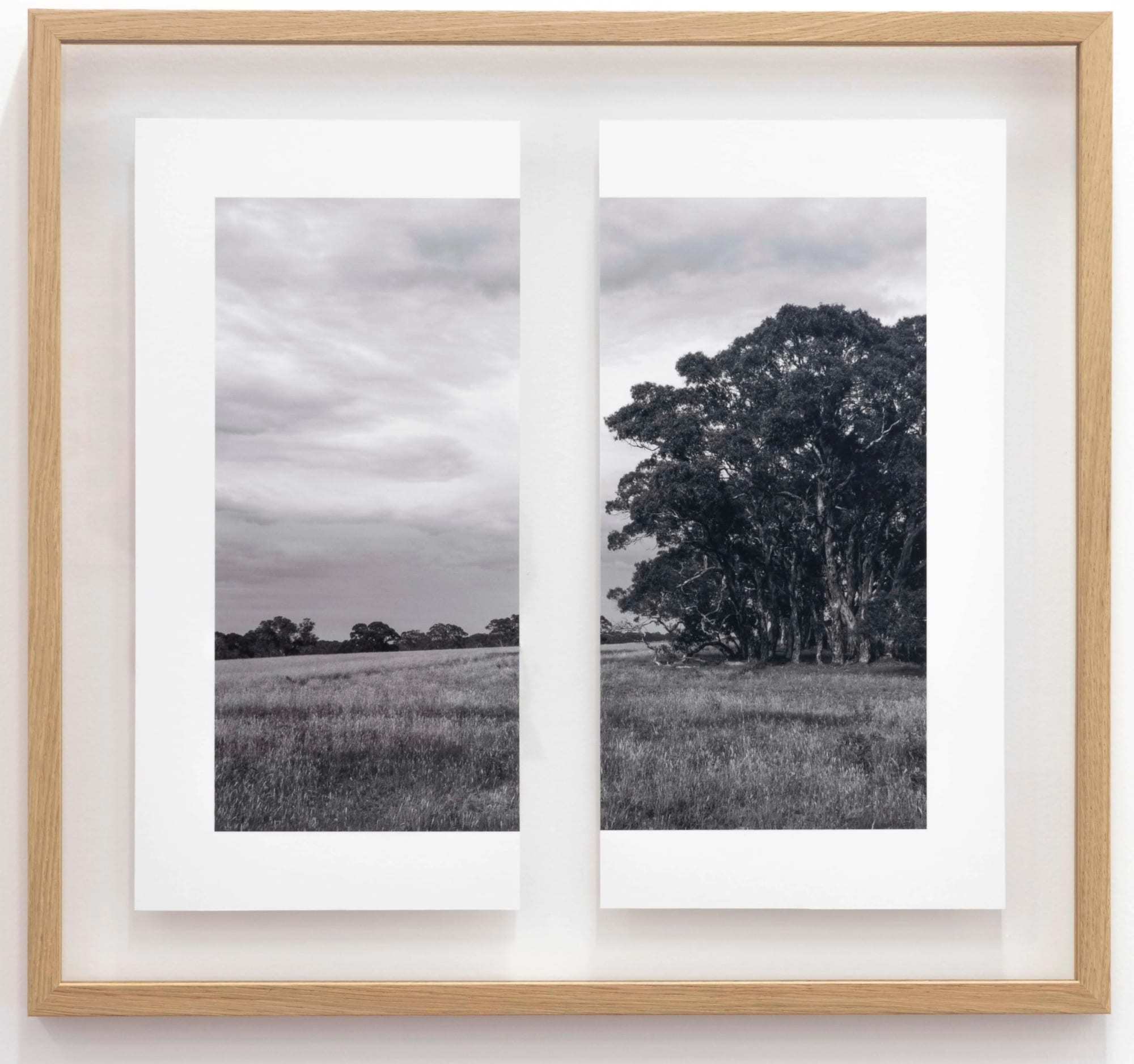 James Tylor: Tapa-arra Through the Landscape.