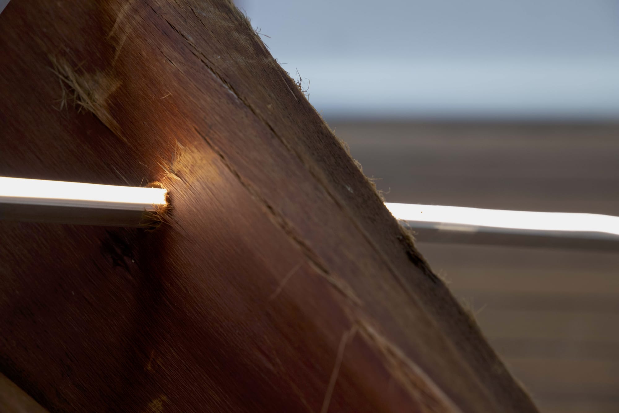 Aidan Hartshorn: Altered Currents.