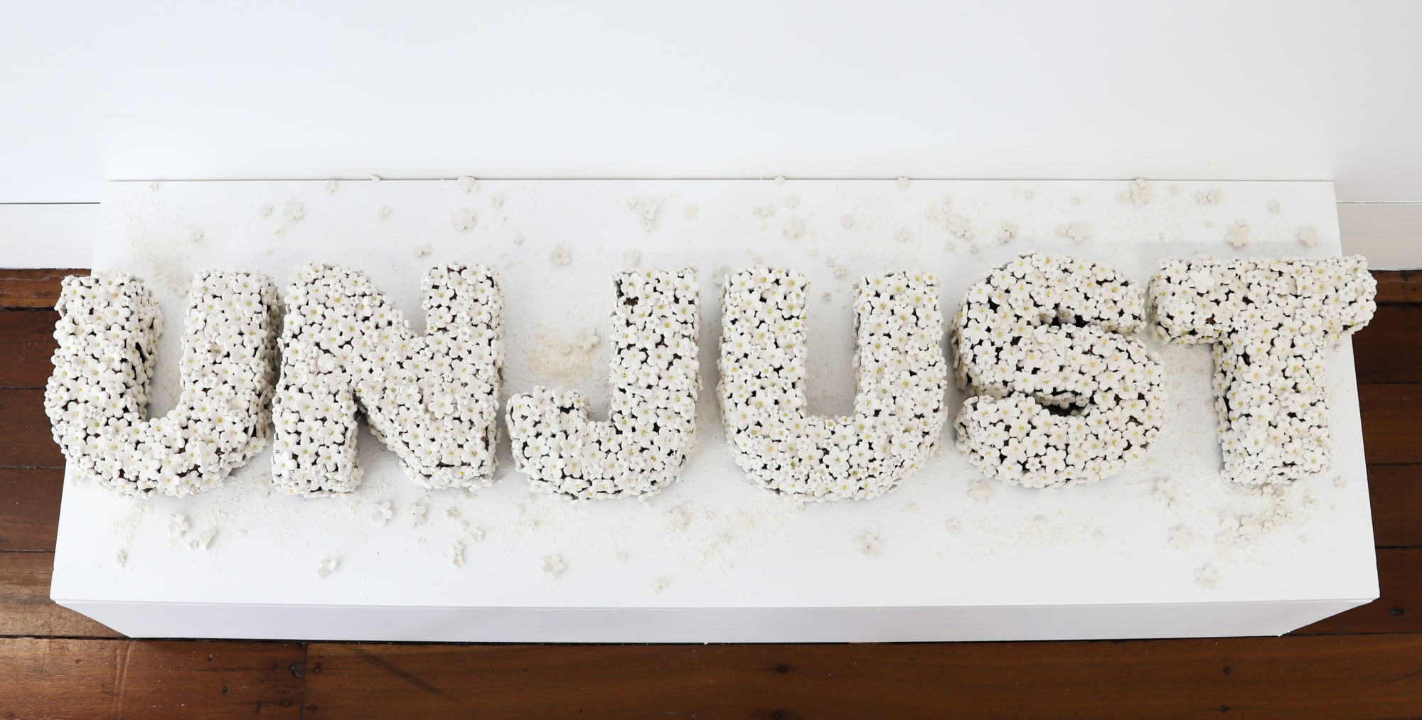 Kyra Mancktelow: Unconstitutional Love.