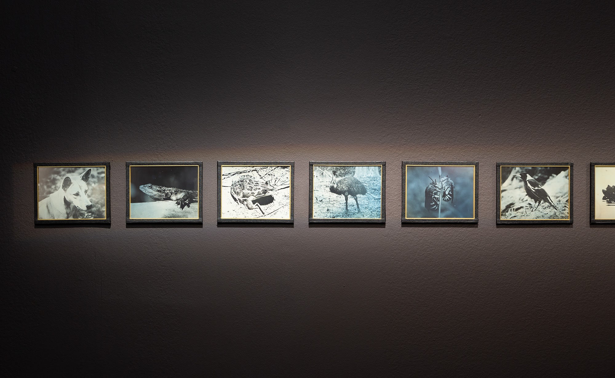 Ramsay Art Prize 2025